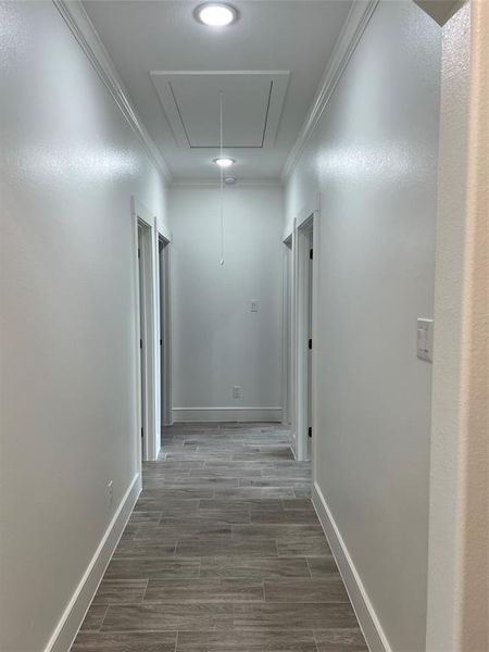 Hallway with wood finish floors, attic access, ornamental molding, and recessed lighting