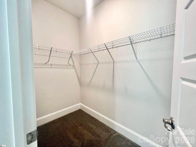 Representative Photo