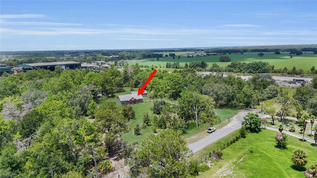 Natural landscape and outdoor views near in Sumterville (Image 32). Natural landscape and outdoor views near in Sumterville (Image 32).