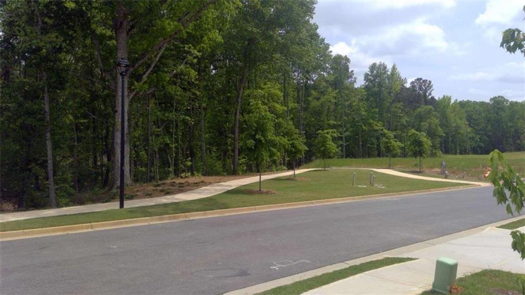 Natural landscape and outdoor views near Shoal Creek in Hampton (Image 29).