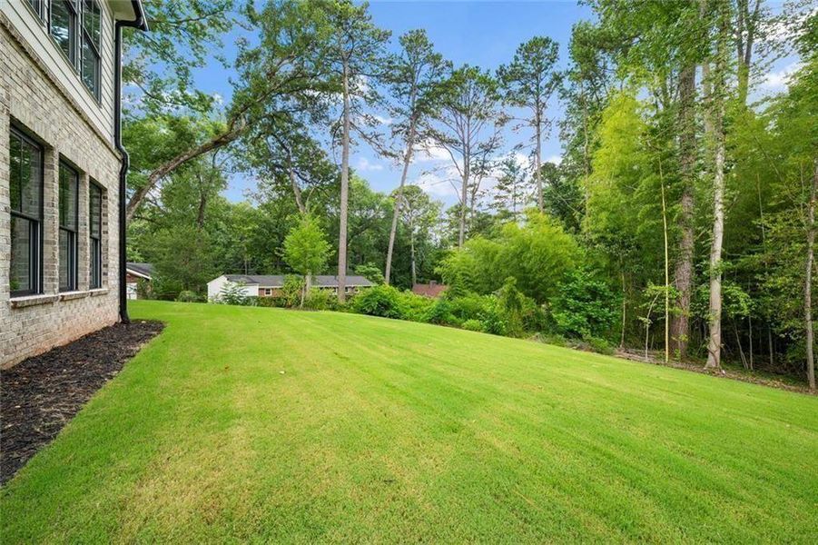 Natural landscape and outdoor views near in Atlanta (Image 61). Natural landscape and outdoor views near in Atlanta (Image 61).