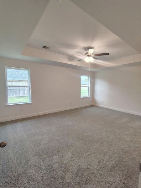 Primary Bedroom with Trey Ceiling and Crown Molding Primary Bedroom with Trey Ceiling and Crown Molding