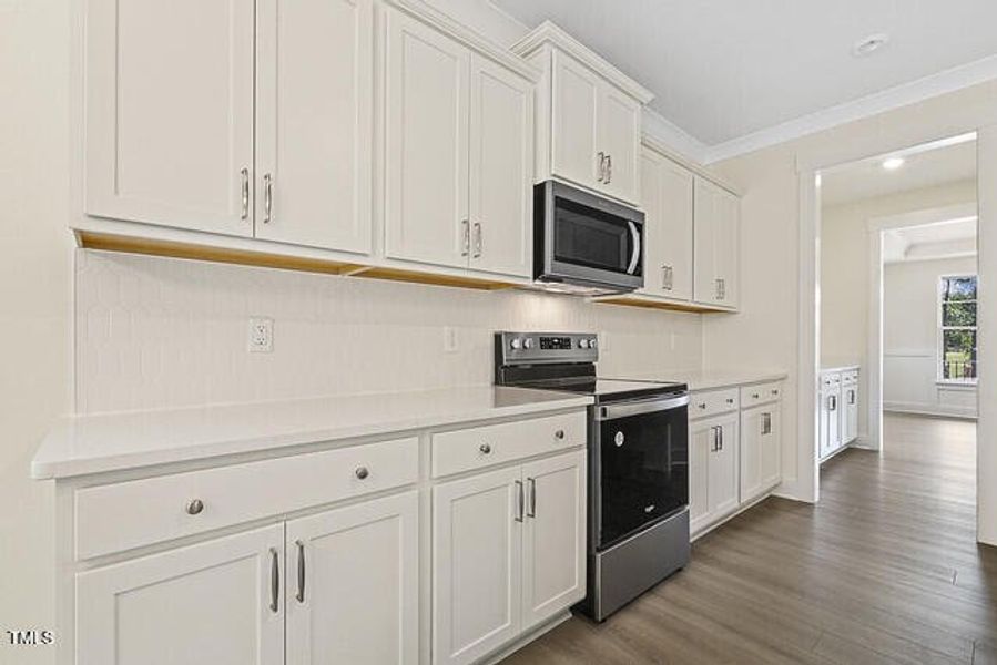 54563789021_49d1cb40b2_z