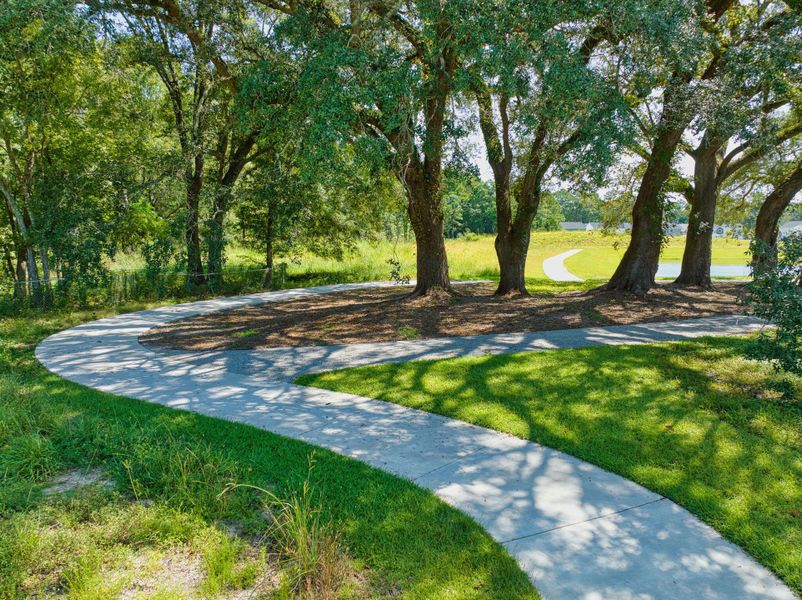 Natural landscape and outdoor views near Six Oaks in Summerville (Image 4).