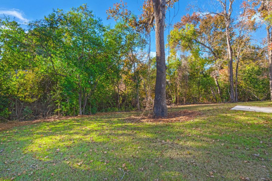 Natural landscape and outdoor views near in Hanahan (Image 28). Natural landscape and outdoor views near in Hanahan (Image 28).