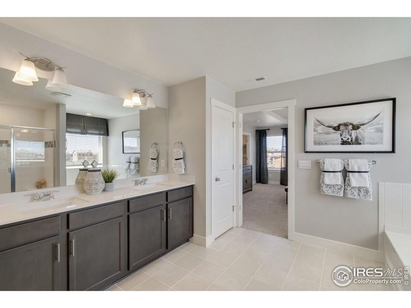Furnished interior view inside a new home in Vantage, Berthoud (Image 21).