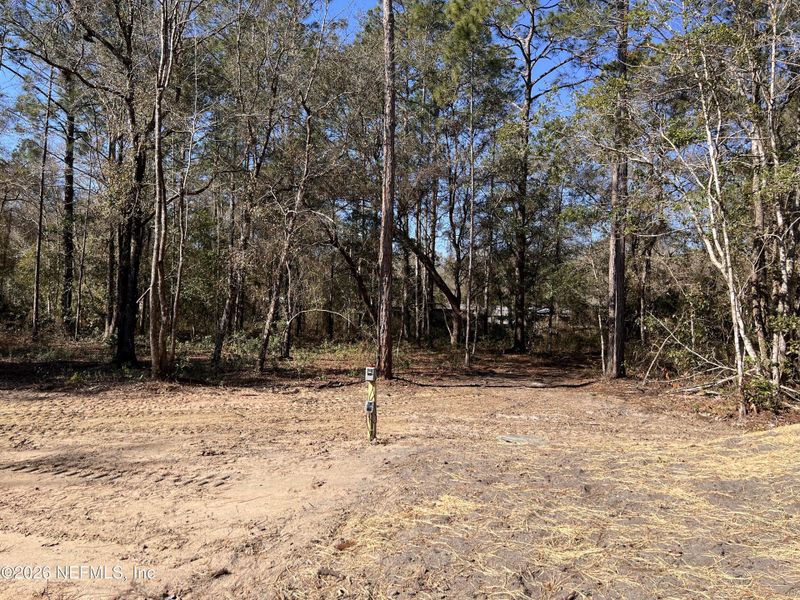 Natural landscape and outdoor views near  in Hastings (Image 11).