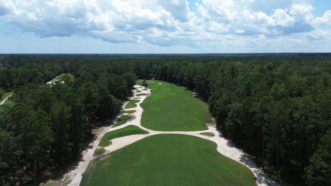 Natural landscape and outdoor views near The Preserve at Shaftesbury Glen in Conway (Image 29).