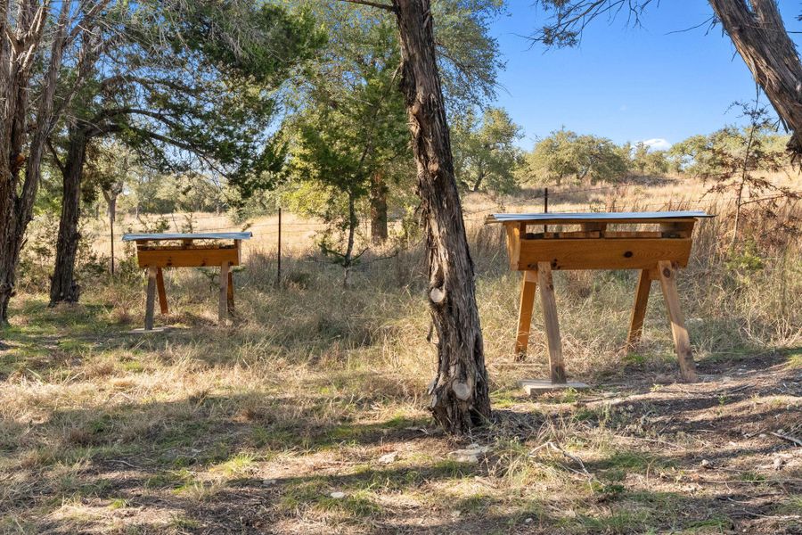 Two wooden beehives, each with a silver-toned metal roof, are situated within a natural, tree-lined landscape