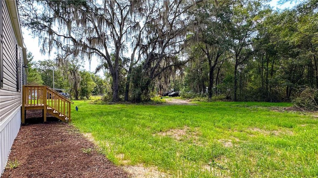 Natural landscape and outdoor views near  in Satsuma (Image 31).