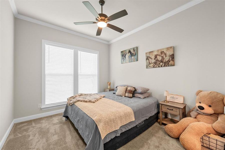 Spacious secondary bedroom with ceiling fan and large windows. Spacious secondary bedroom with ceiling fan and large windows.