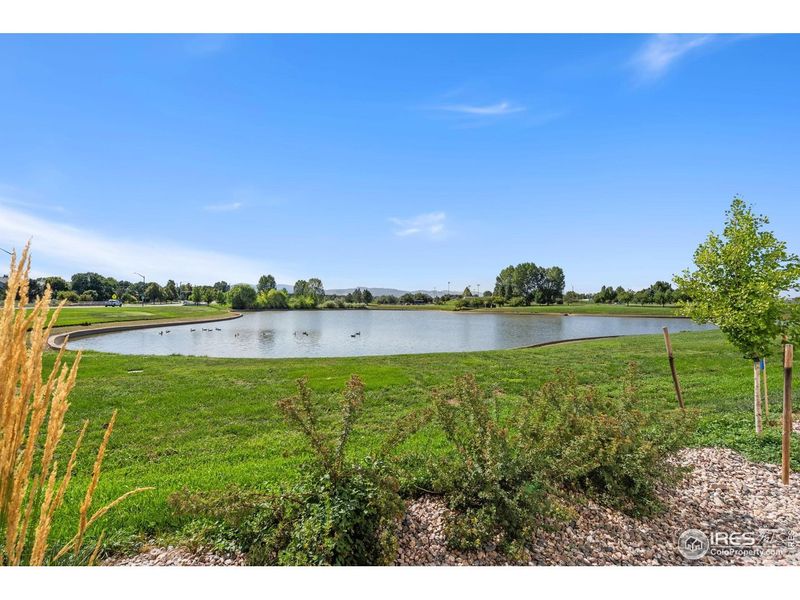 Natural landscape and outdoor views near  in Fort Collins (Image 11).
