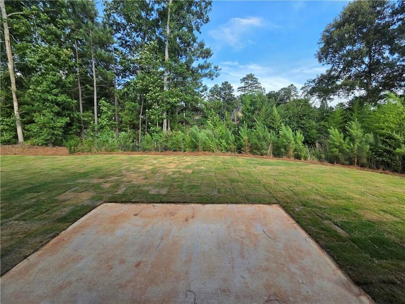 Natural landscape and outdoor views near in Locust Grove (Image 40). Natural landscape and outdoor views near in Locust Grove (Image 40).
