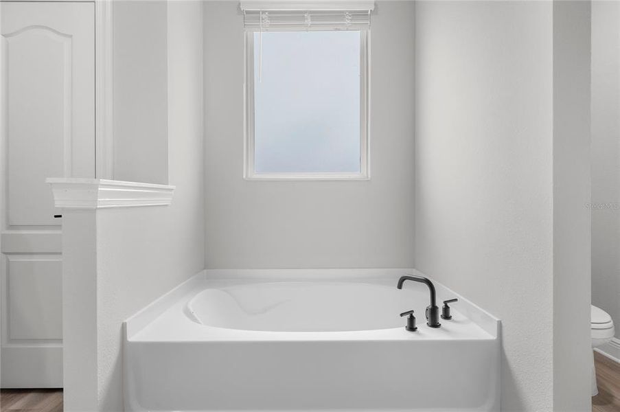 Image 27 of a home in Gum Lake Preserve.