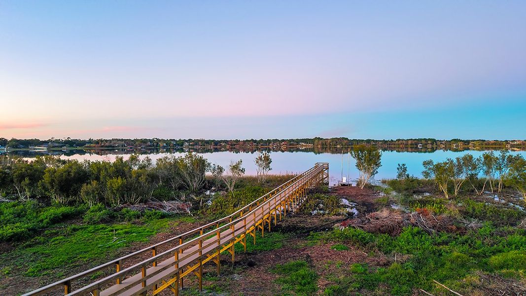 Natural landscape and outdoor views near Lochside in Mount Dora (Image 43). Natural landscape and outdoor views near Lochside in Mount Dora (Image 43).
