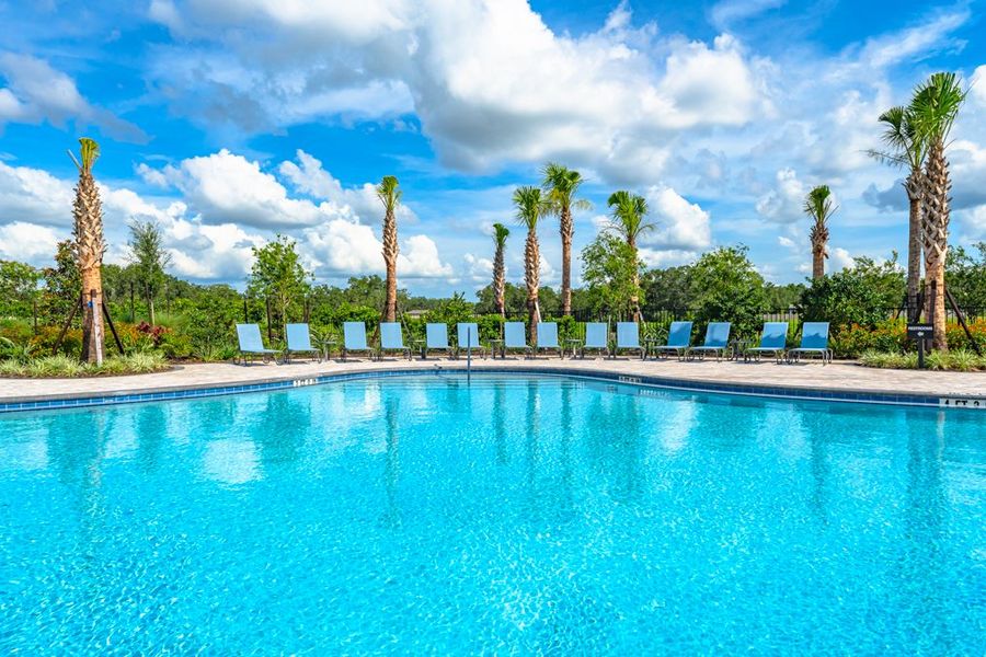 Community amenities in Palm Wind, Hudson (Image 11).