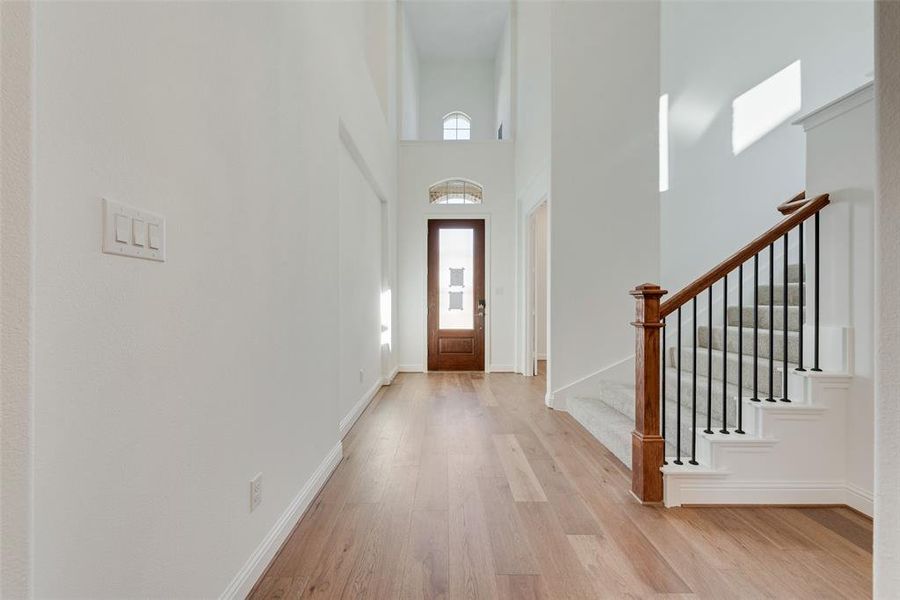 Foyer featuring a wealth of natural light, a high ceiling, and light hardwood / wood-style flooring