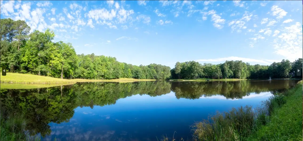 Natural landscape and outdoor views near Ponder in Wendell (Image 4).