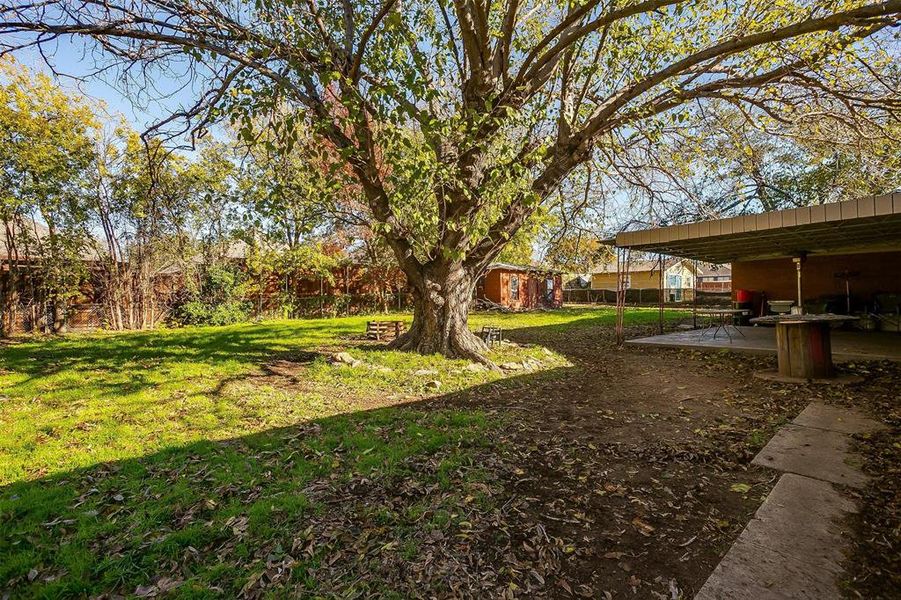 Large backyard with mature trees & storage building.