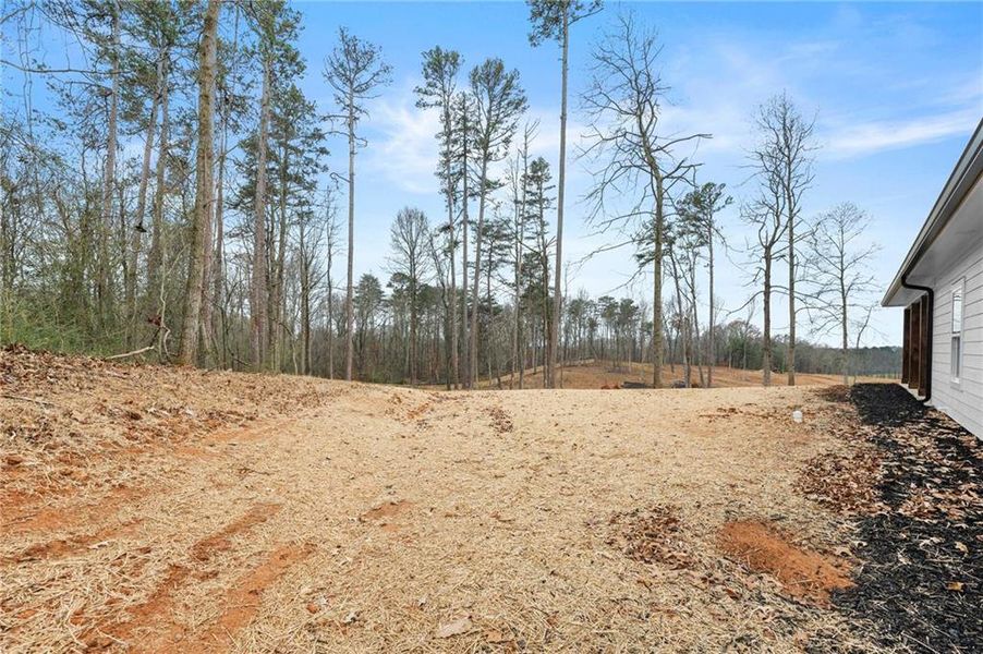 Site preparation for new homesites in , Clermont (Image 39). Site preparation for new homesites in , Clermont (Image 39).