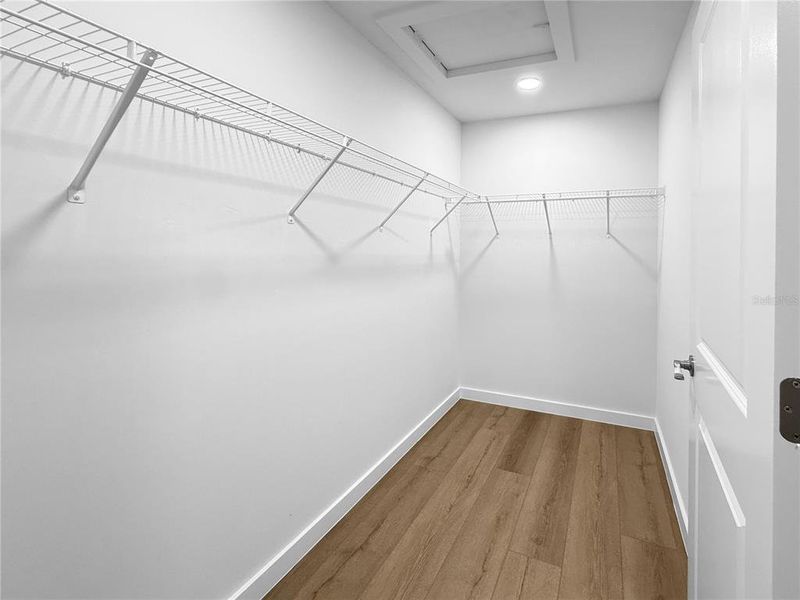 Primary Walk-In Closet