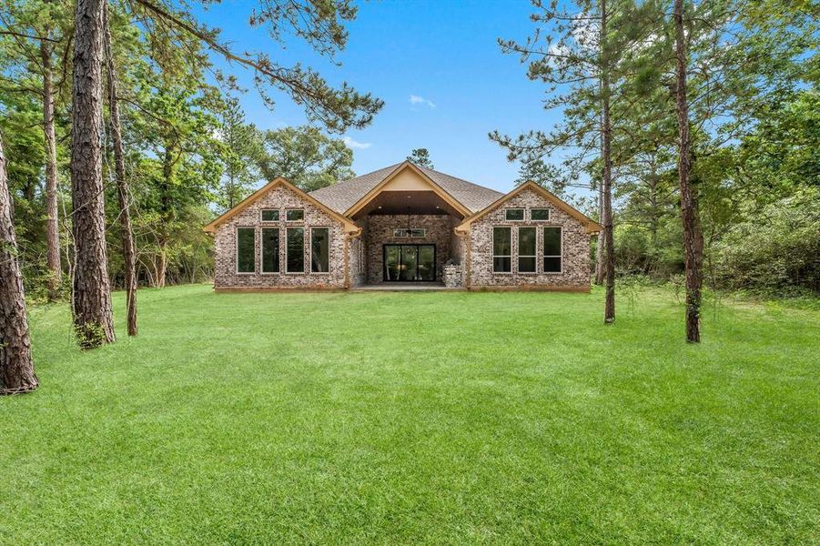 Spacious backyard (virtually added sod)