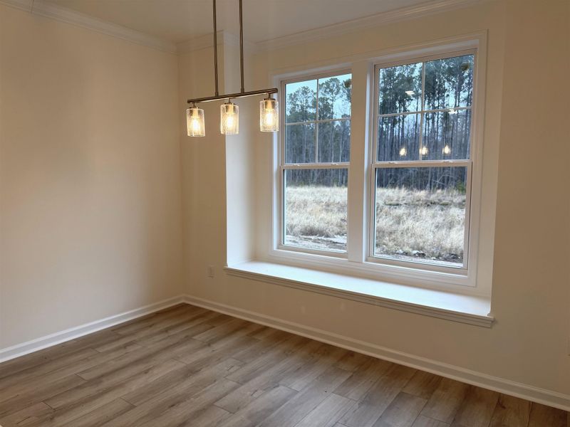Spacious, unfurnished interior of a new home in King Farm Estates, Aynor (Image 13).