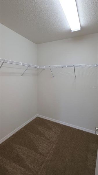 Spacious, unfurnished interior of a new home in , Citrus Springs (Image 16).