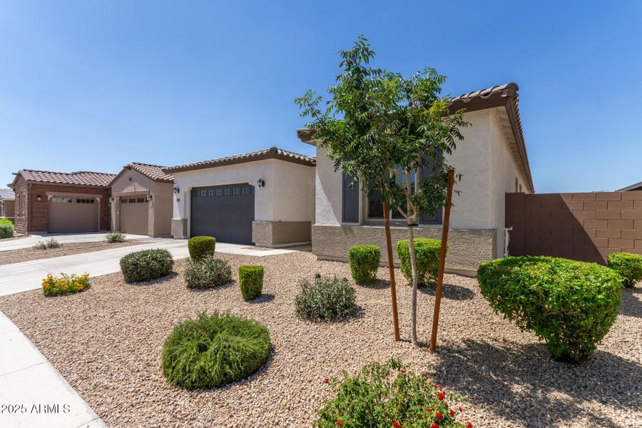 05 - McNeil 3832 05 - McNeil 3832