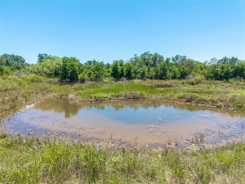 Natural landscape and outdoor views near  in Brownwood (Image 25).