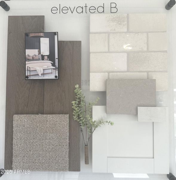 Elevated B Color Package