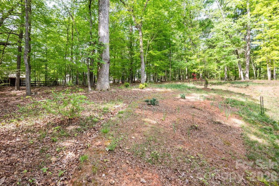 Natural landscape and outdoor views near  in Waxhaw (Image 35).