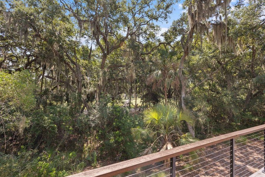 Natural landscape and outdoor views near  in Seabrook Island (Image 92).
