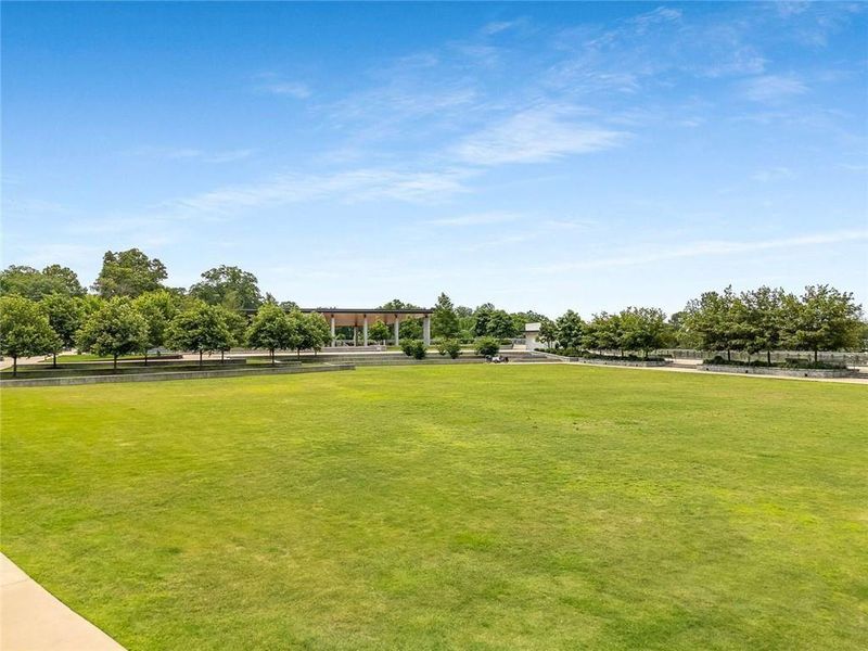 Natural landscape and outdoor views near  in Atlanta (Image 47).