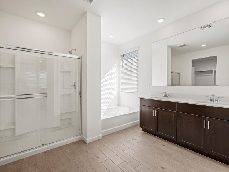 Furnished interior view inside a new home in Bella Vista Farms Reserve Series, San Tan Valley (Image 5).