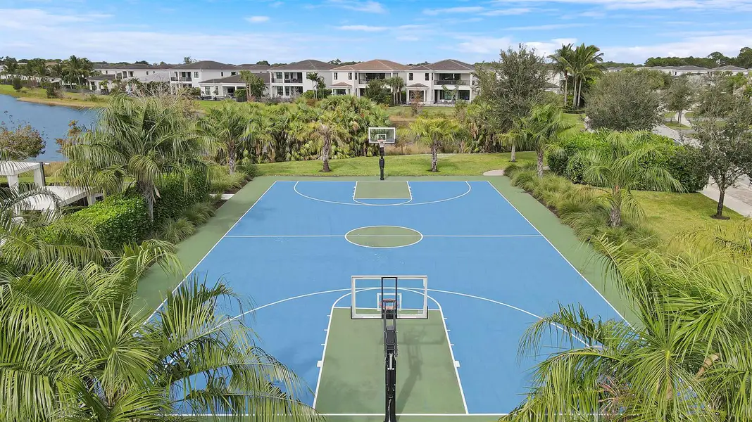 Basketball Court Basketball Court