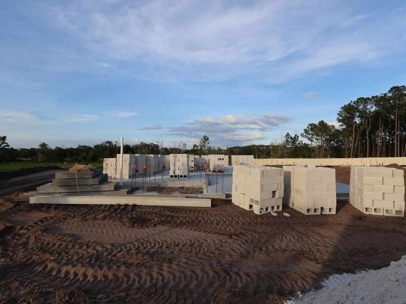 Homesite Homesite