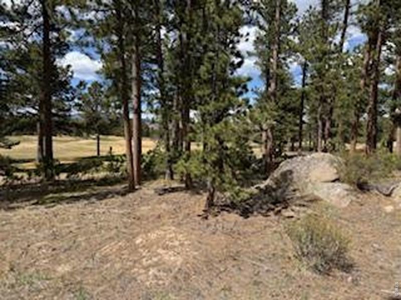Natural landscape and outdoor views near  in Red Feather Lakes (Image 24).