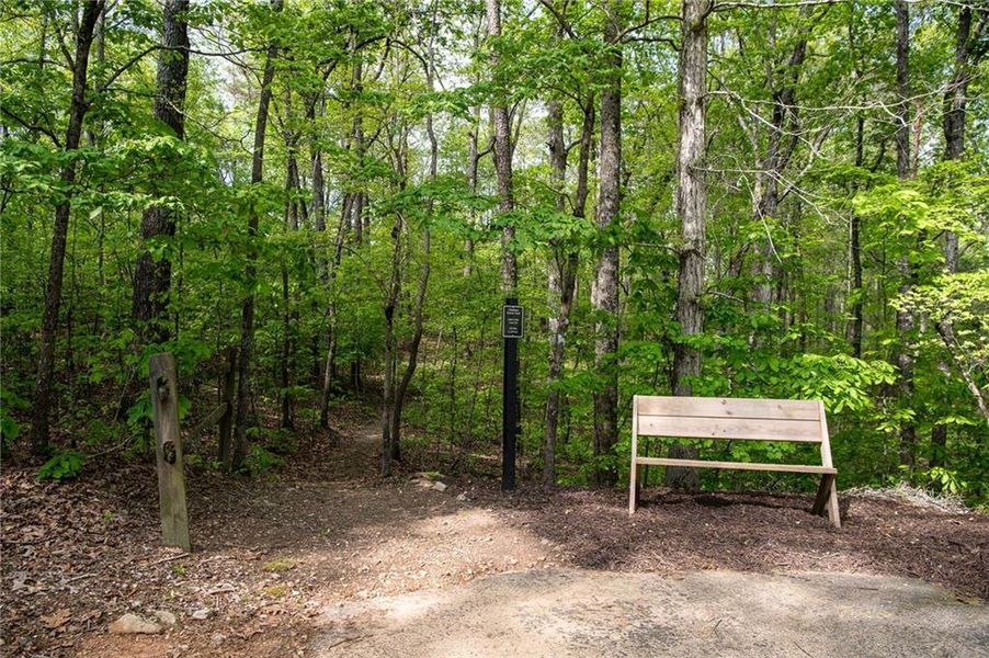Natural landscape and outdoor views near East Harbor II at Chestatee in Dawsonville (Image 25). Natural landscape and outdoor views near East Harbor II at Chestatee in Dawsonville (Image 25).