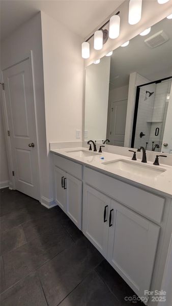 Owner's bathroom