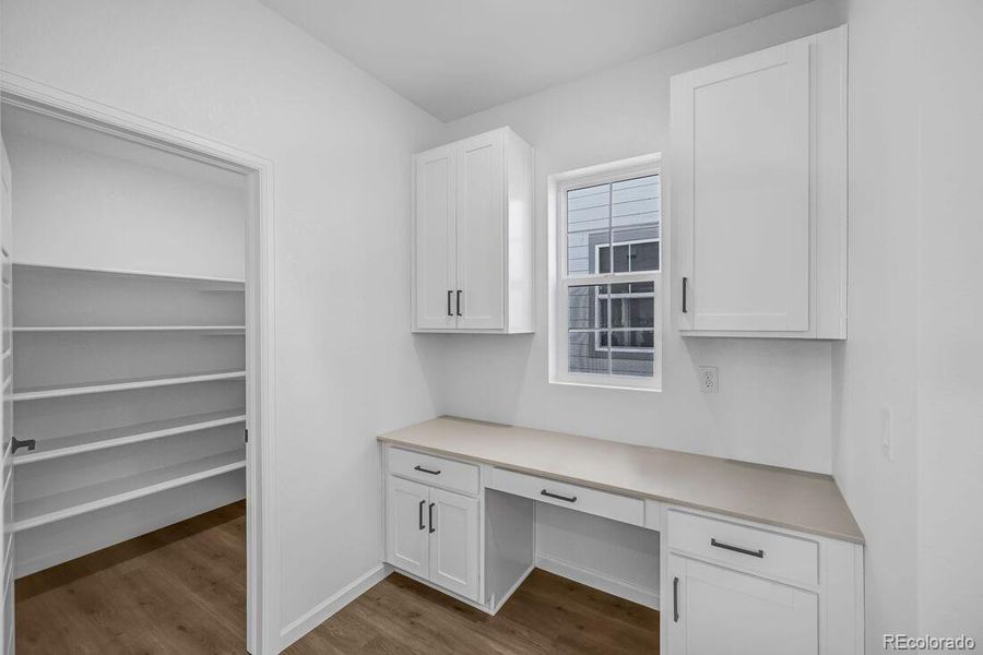 8800 Whiteclover ~ Ready Now