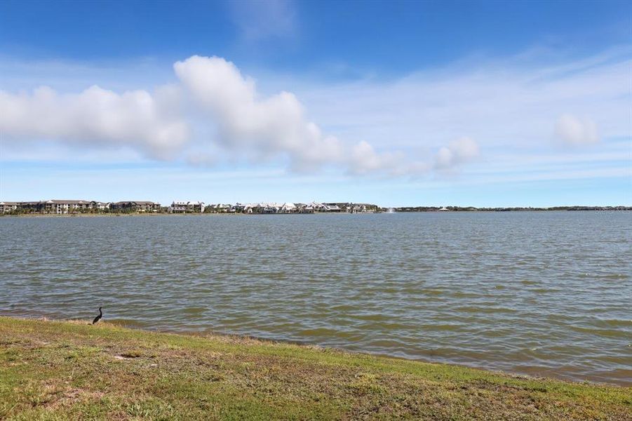 Natural landscape and outdoor views near Nautique at Waterside in Sarasota (Image 29).