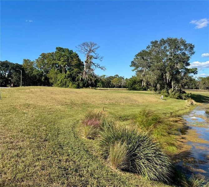 Natural landscape and outdoor views near in Tarpon Springs (Image 11). Natural landscape and outdoor views near in Tarpon Springs (Image 11).