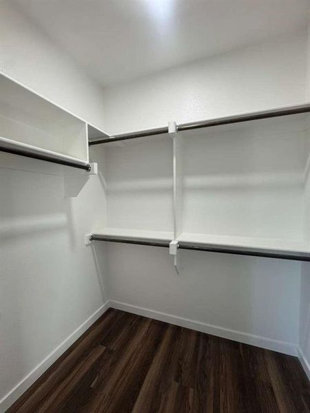 Walk in closet with dark wood finished floors