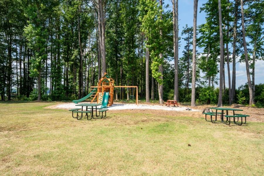 Community amenities in , Buckhead (Image 53).