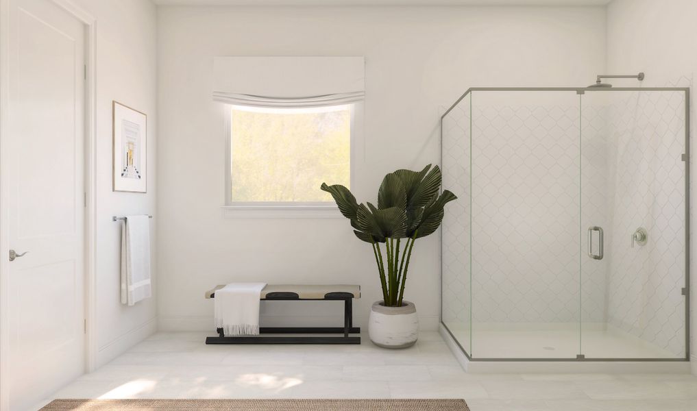 Primary Bath Shower Primary Bath Shower