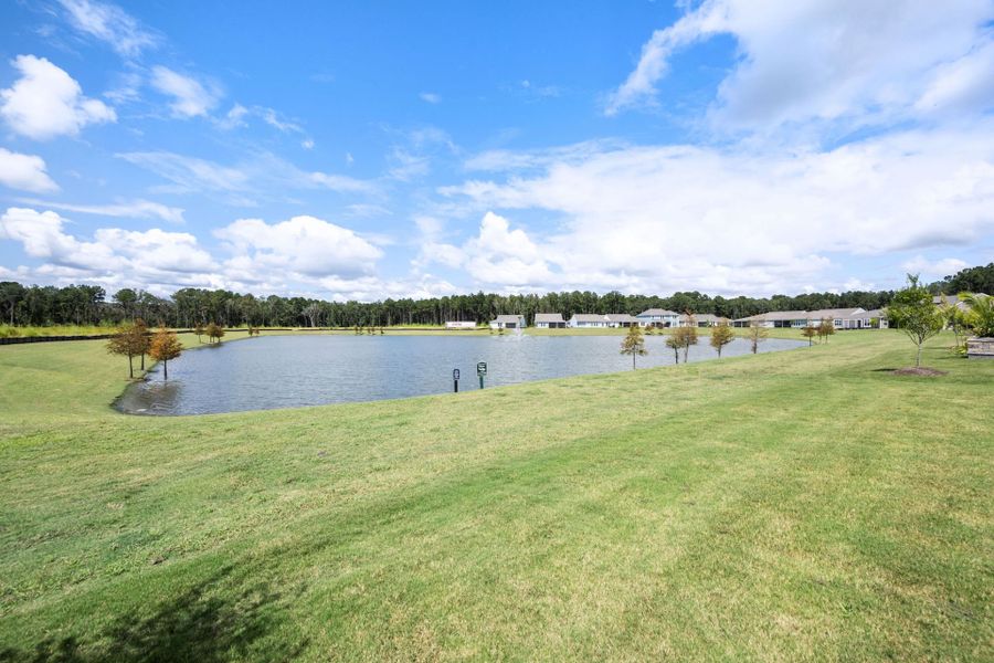 Natural landscape and outdoor views near Del Webb Savannah at Heartwood in Richmond Hill (Image 44).