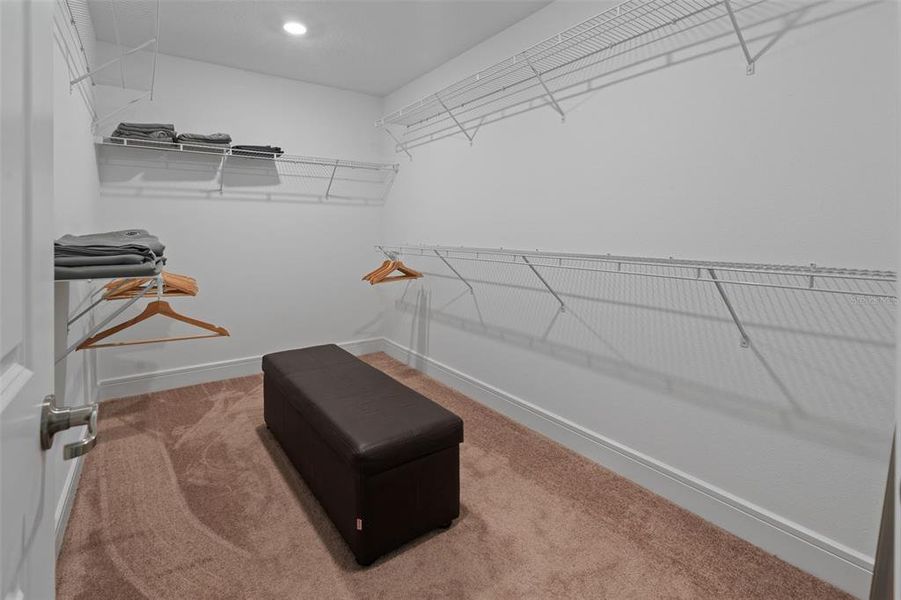 Furnished interior view inside a new home in , Montverde (Image 14).