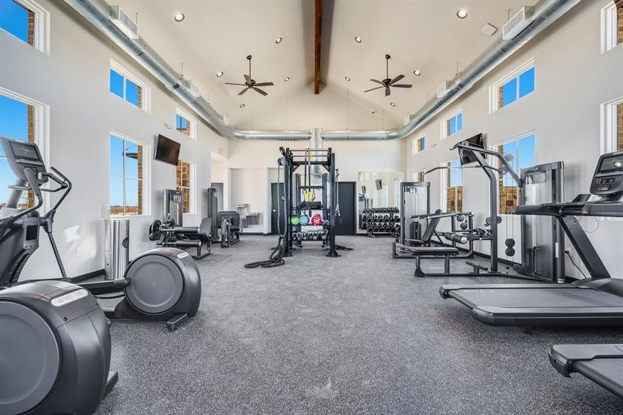 Community Photo Community Photo