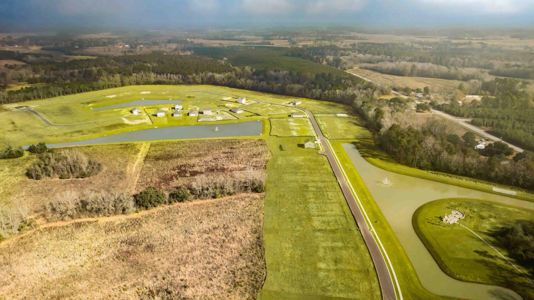 Natural landscape and outdoor views near The Ranch in Holly Hill (Image 26).